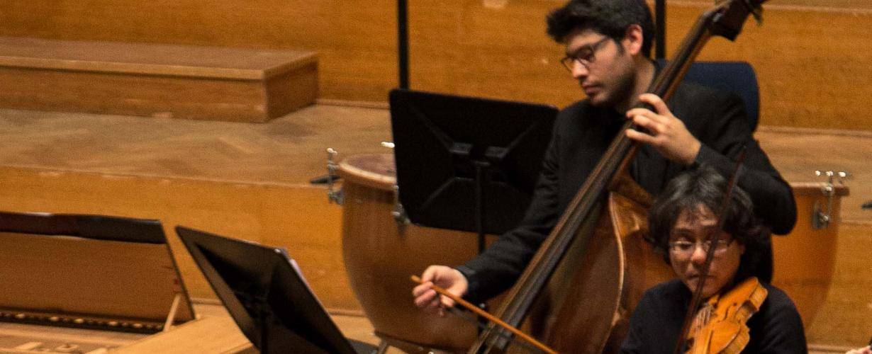 Violone Barokcontrabas
