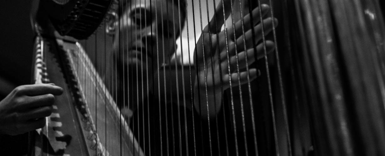 Harp