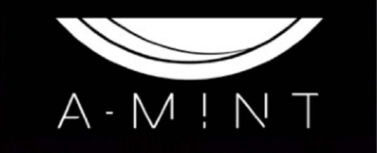 A-MINT