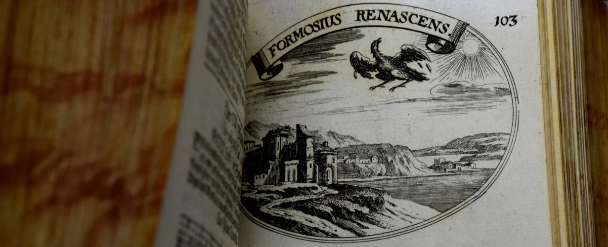 Formosius Renascens