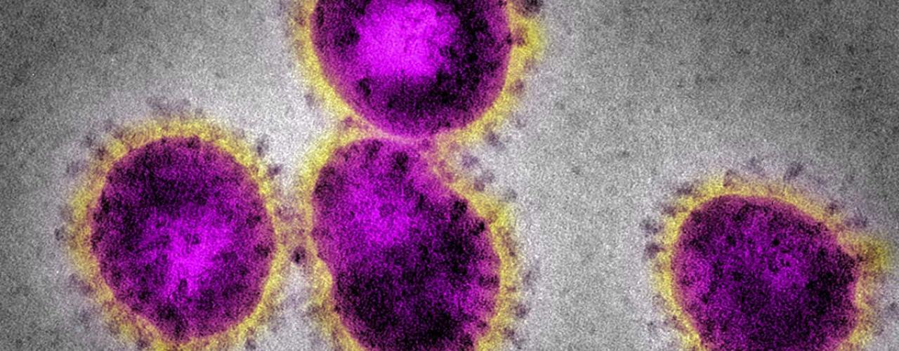 Coronavirus measures March 2020