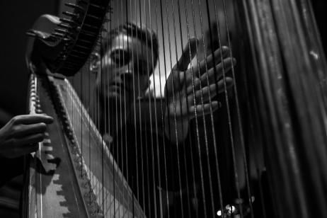 Harp | Publieke Examens KCB 2025